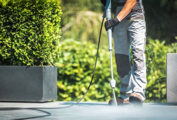 Best Building Exterior Washing  in White Oak, PA