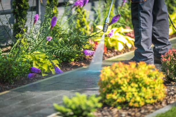 Best Pre-Holiday Cleaning  in White Oak, PA