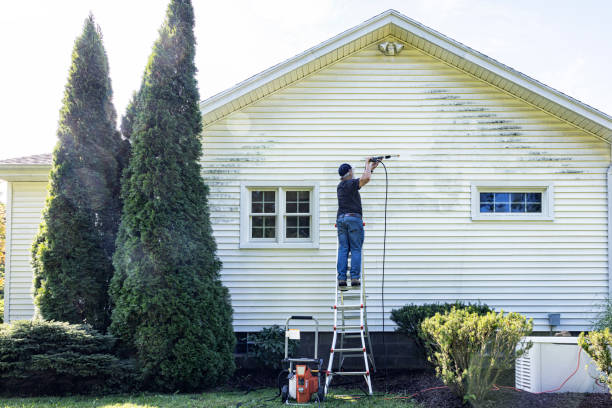 Best Fence Cleaning  in White Oak, PA