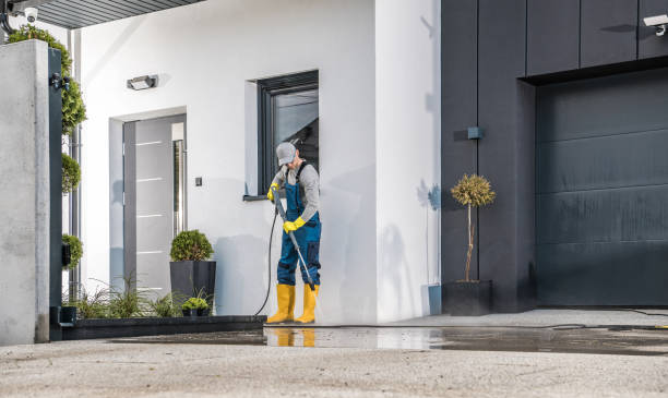 Best Soft Washing  in White Oak, PA